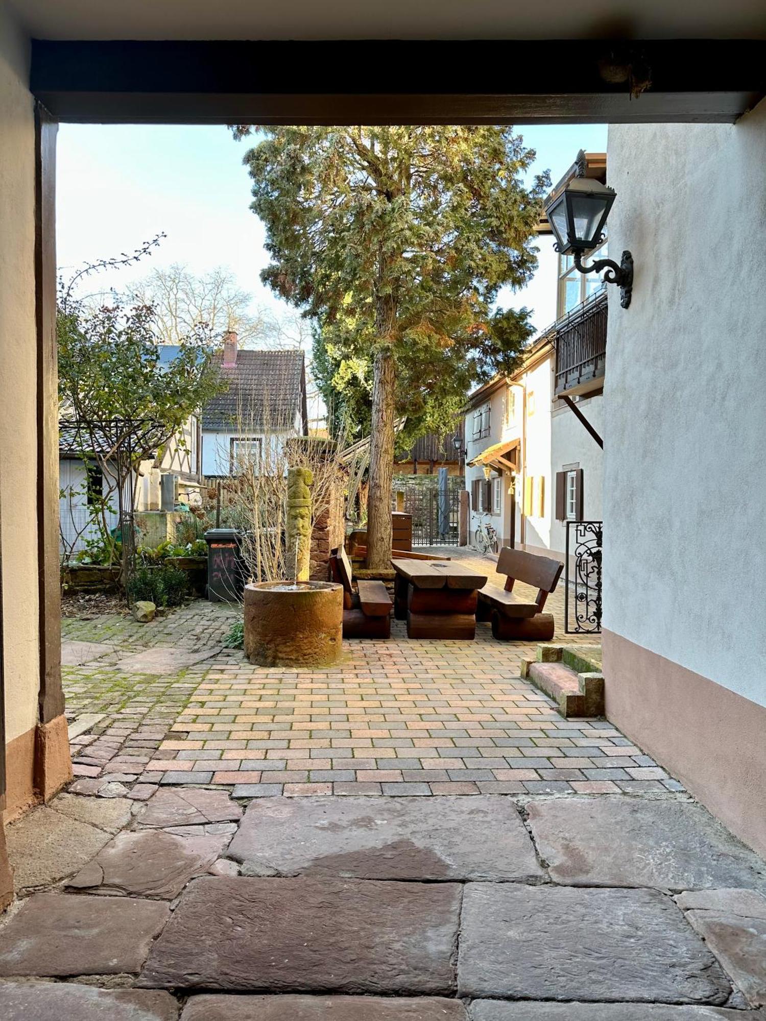 Exklusives Haus, Ruhig Gelegen Im Innenhof, Zentral, Lichtdurchflutet, كارلسروه المظهر الخارجي الصورة